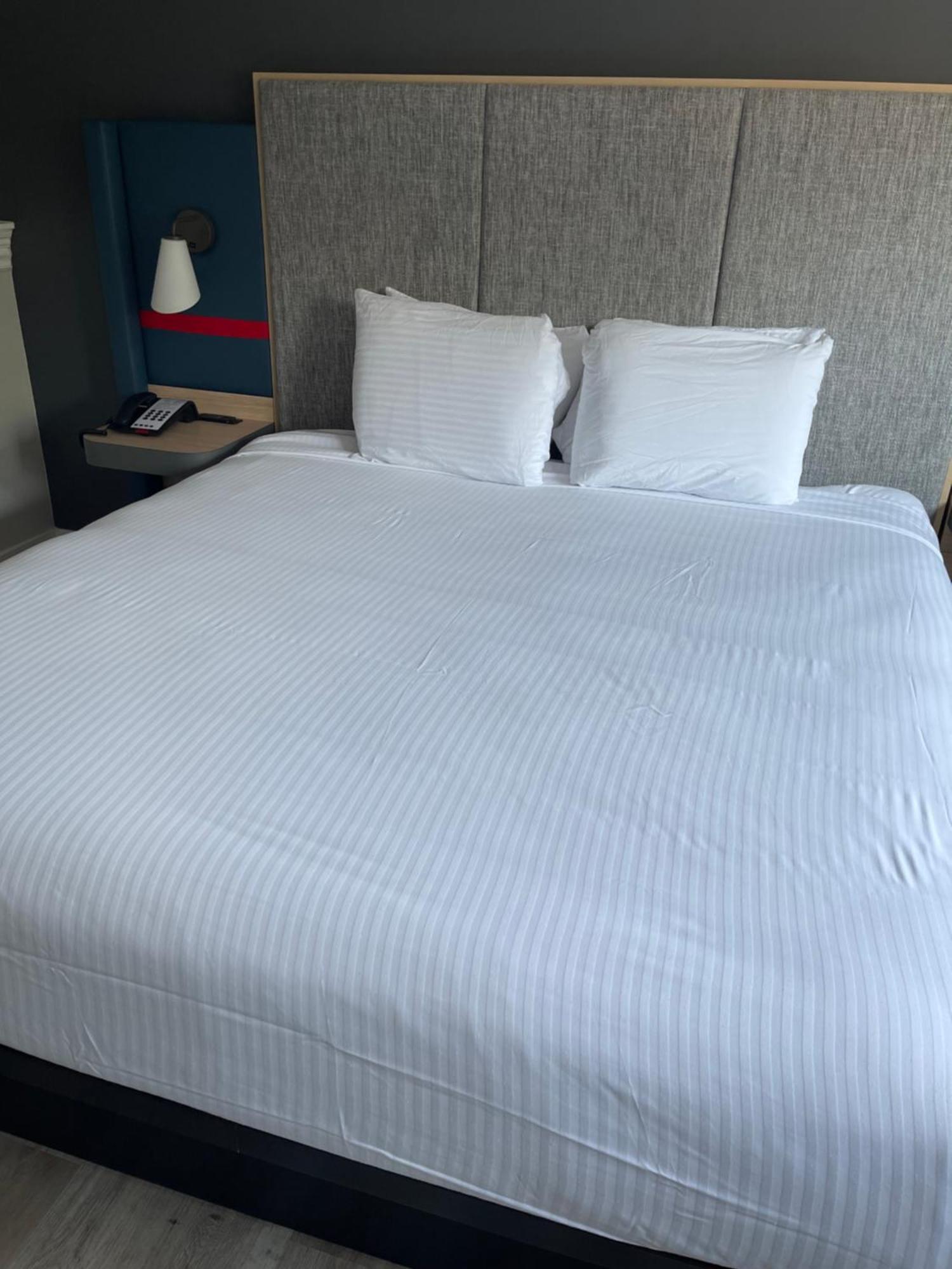 The Midtowner Hotel, Surestay Collection By Best Western Сакраменто Экстерьер фото